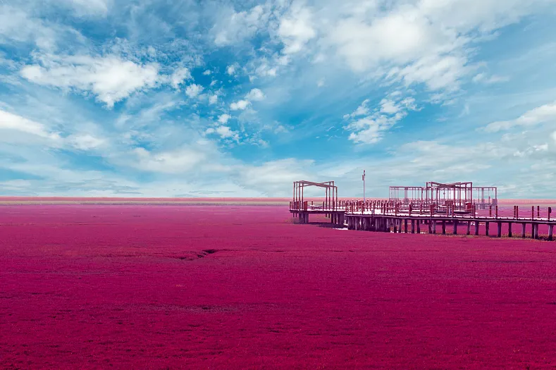 8374e50d9cd40046e458cb7cbe205a7b-sz_1004596-1