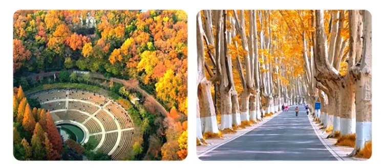 8392a31c2643fbd846c6c37dc42d0439-sz_546553 8392a31c2643fbd846c6c37dc42d0439-sz_546553