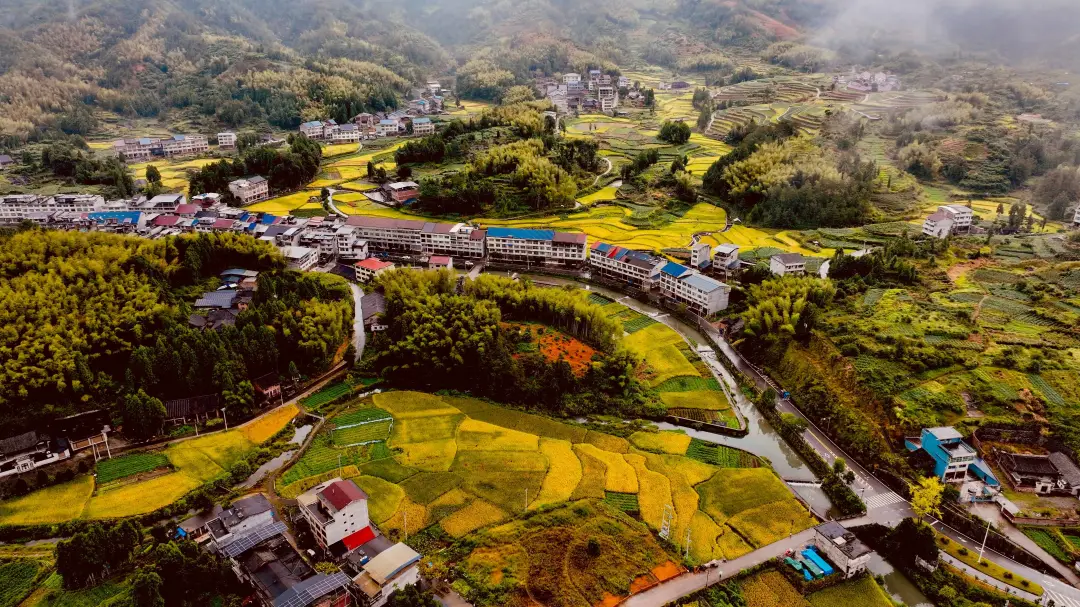 83940be879e80c3595f5ff38dfe9075a-sz_2014465 83940be879e80c3595f5ff38dfe9075a-sz_2014465