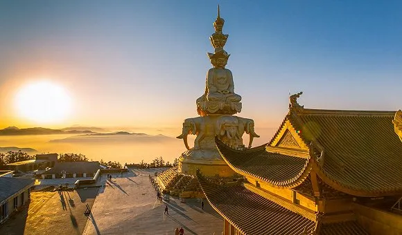 8464ea9ab0cf0163cc75d7149167fb1e-sz_46262-1