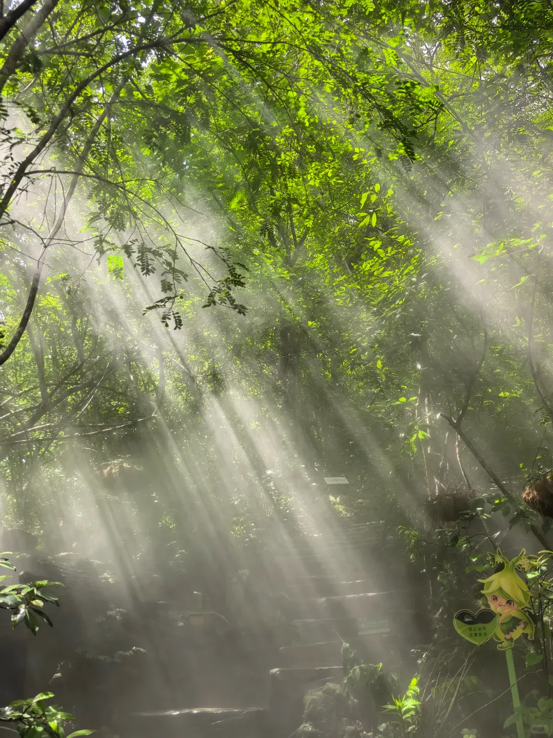 847229843adabede91bf6a6dc956a133-sz_3123516 847229843adabede91bf6a6dc956a133-sz_3123516