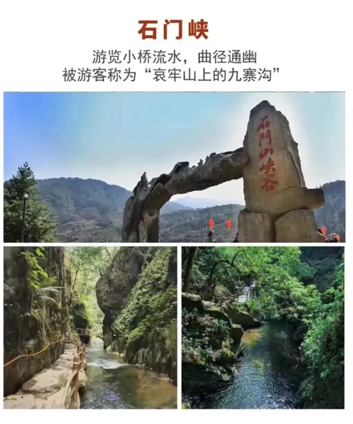 84b304072f2a83727f7d1f46c3c53d49-sz_527704