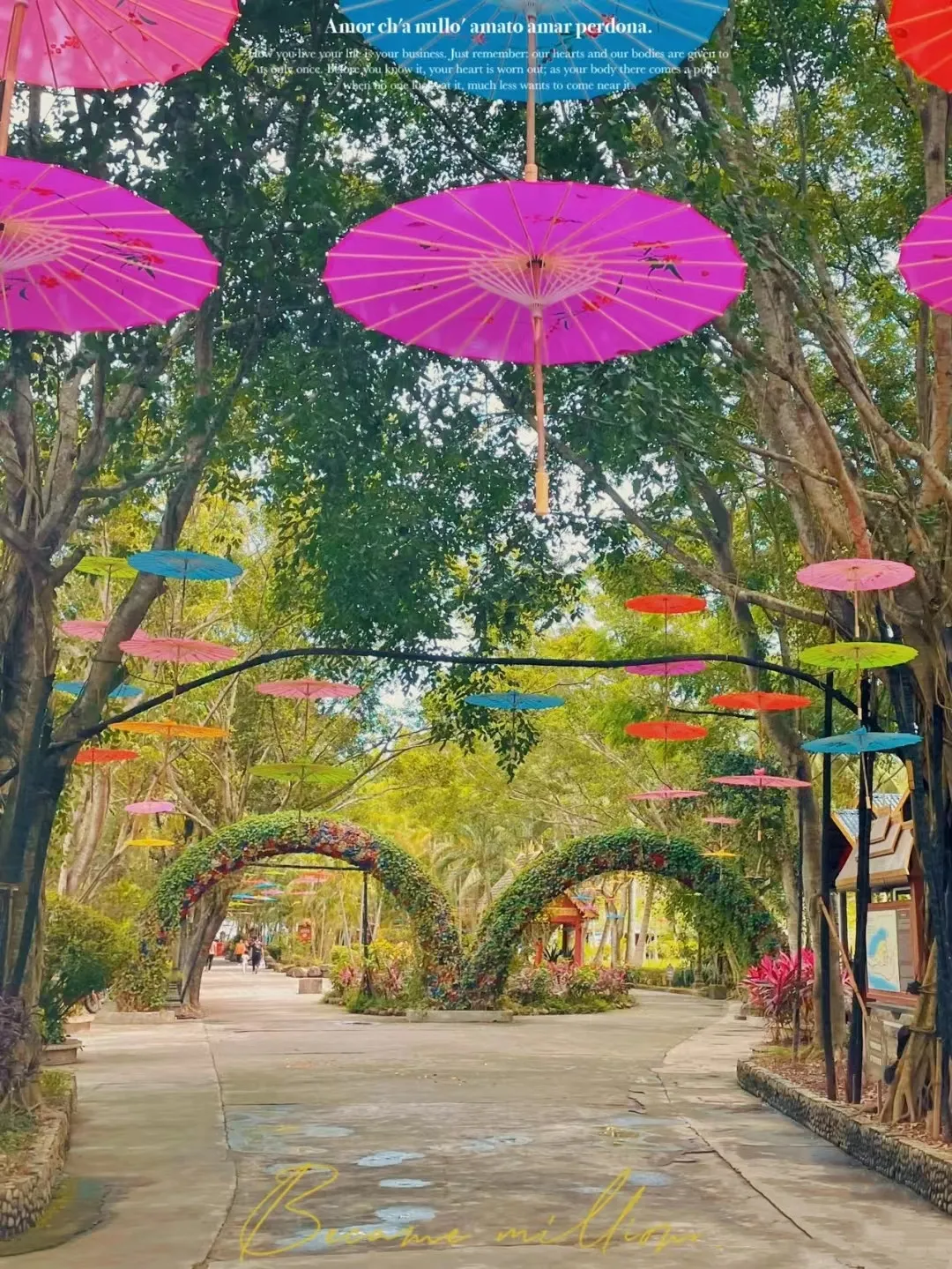 84bcd59fb660f3d626530bd4a65c7887-sz_642190 84bcd59fb660f3d626530bd4a65c7887-sz_642190