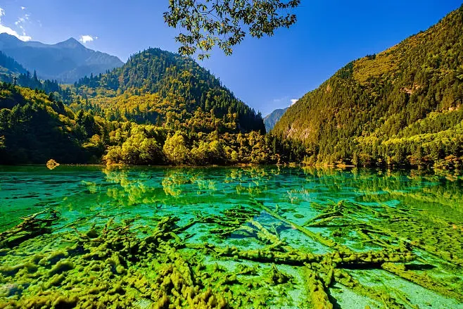 85a8a401c6be12b482e87c654ca982d3-sz_801976-1 85a8a401c6be12b482e87c654ca982d3-sz_801976-1