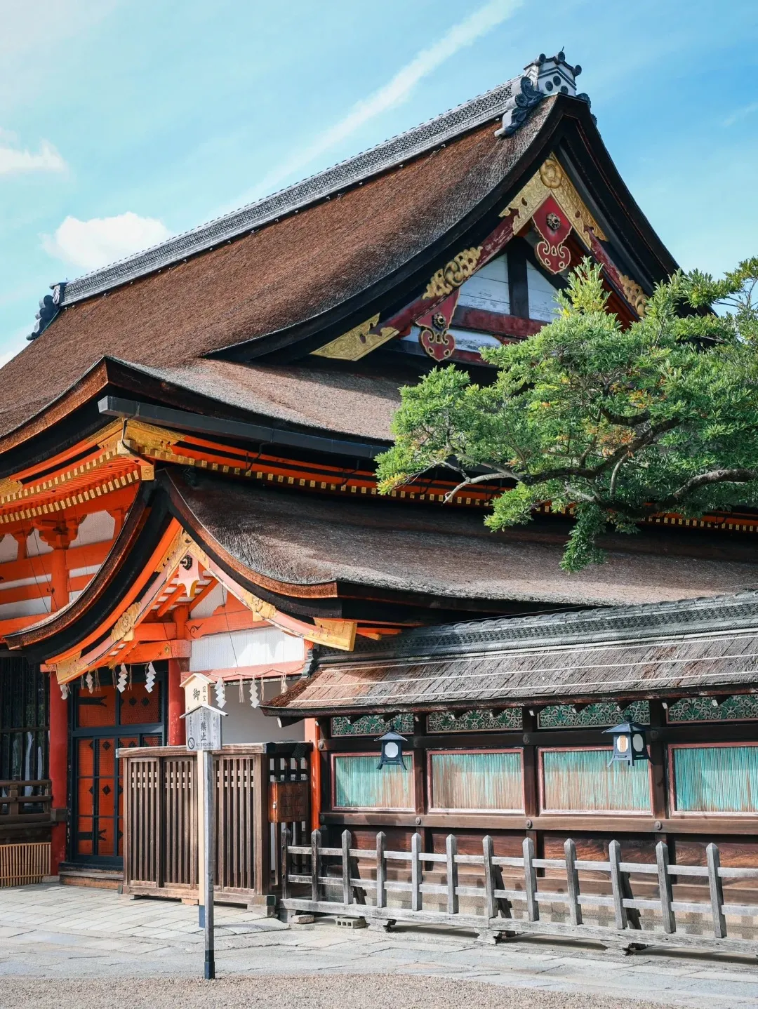 85dda58c0ebc1a5cece68a18f57da4a6-sz_580549 85dda58c0ebc1a5cece68a18f57da4a6-sz_580549