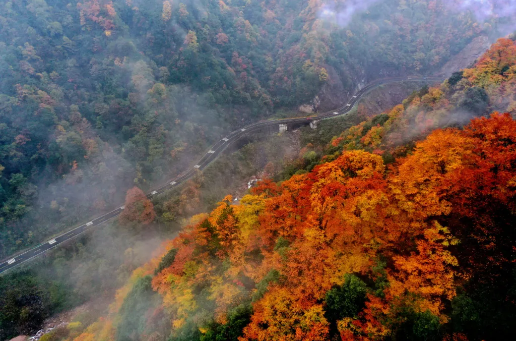 864394dd5e200926fc7eb4a078babe66-sz_1538282-1