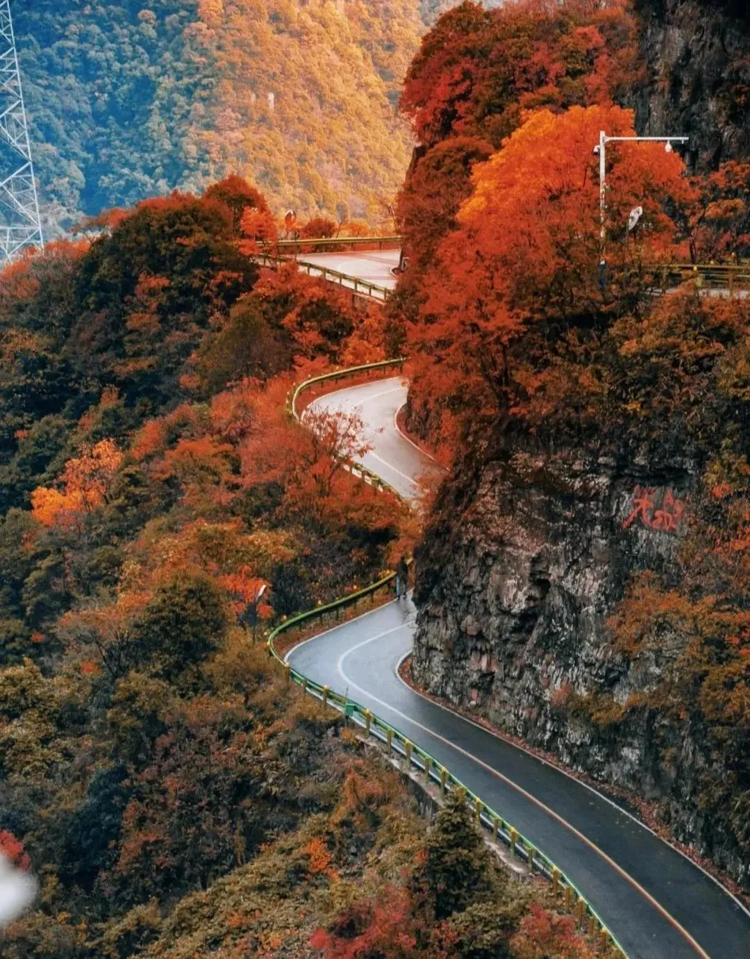 8688a42729f61b2d427cde568b58b045-sz_296948 8688a42729f61b2d427cde568b58b045-sz_296948