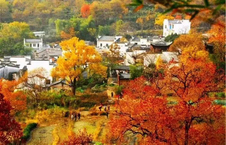 86c27d9c683003747f7b0e349a2ac0e2-sz_202430-1 86c27d9c683003747f7b0e349a2ac0e2-sz_202430-1