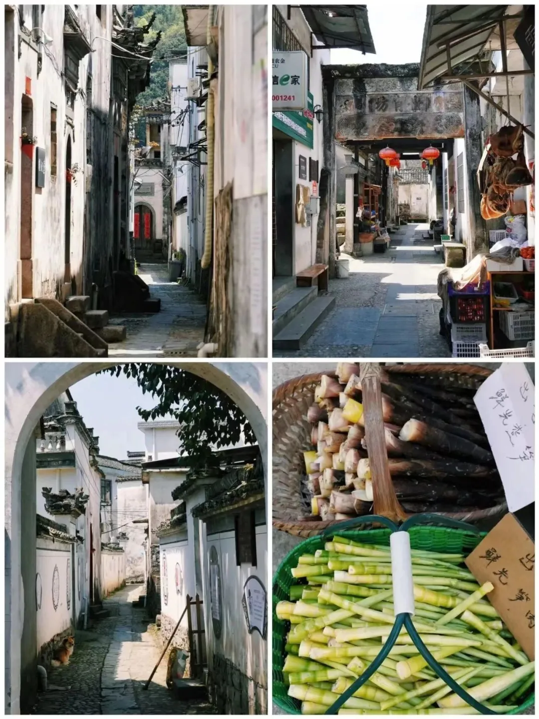 87127fbed9fc1436c7606c7cfcb928be-sz_408844