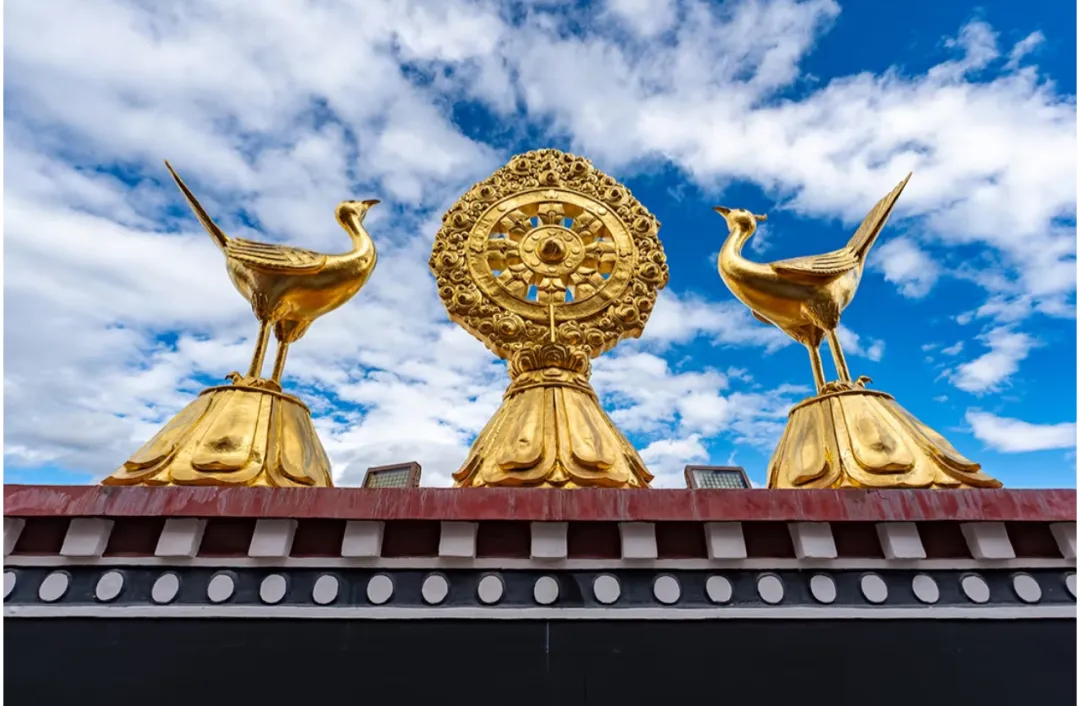 8757d50155d3cde801a725815c34364d-sz_2170582-1 8757d50155d3cde801a725815c34364d-sz_2170582-1