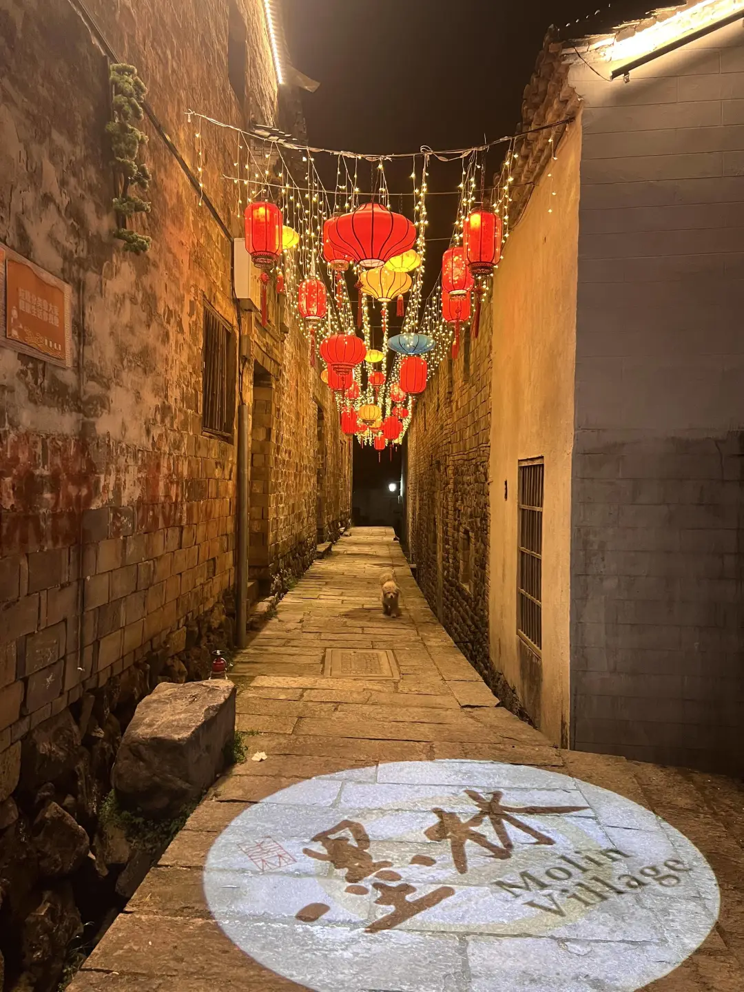 87e7b3e41c7ba8c887bcfb203b7e6317-sz_1602804