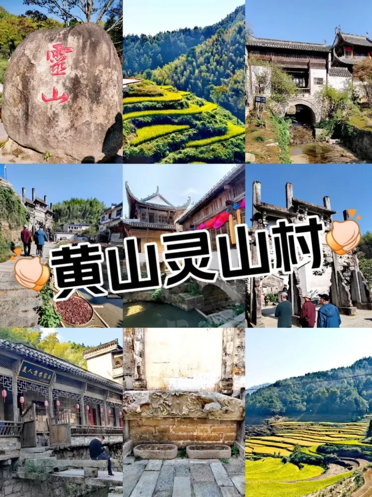 889a0c5b13ae78486cc46c8582cc7971-sz_407749 889a0c5b13ae78486cc46c8582cc7971-sz_407749