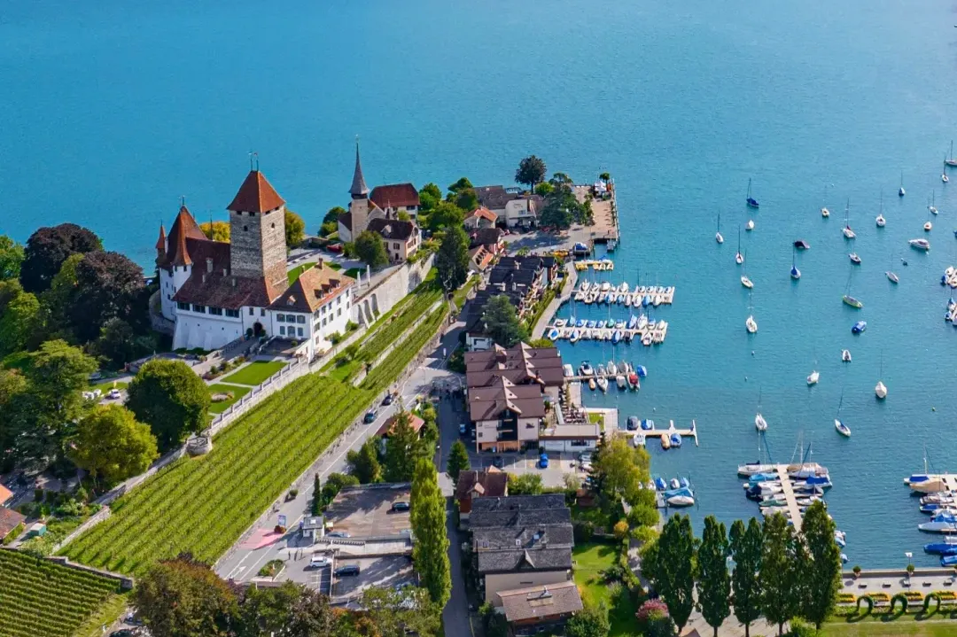 8927aa5f8ebc56be83a4c9c44302c868-sz_3302401