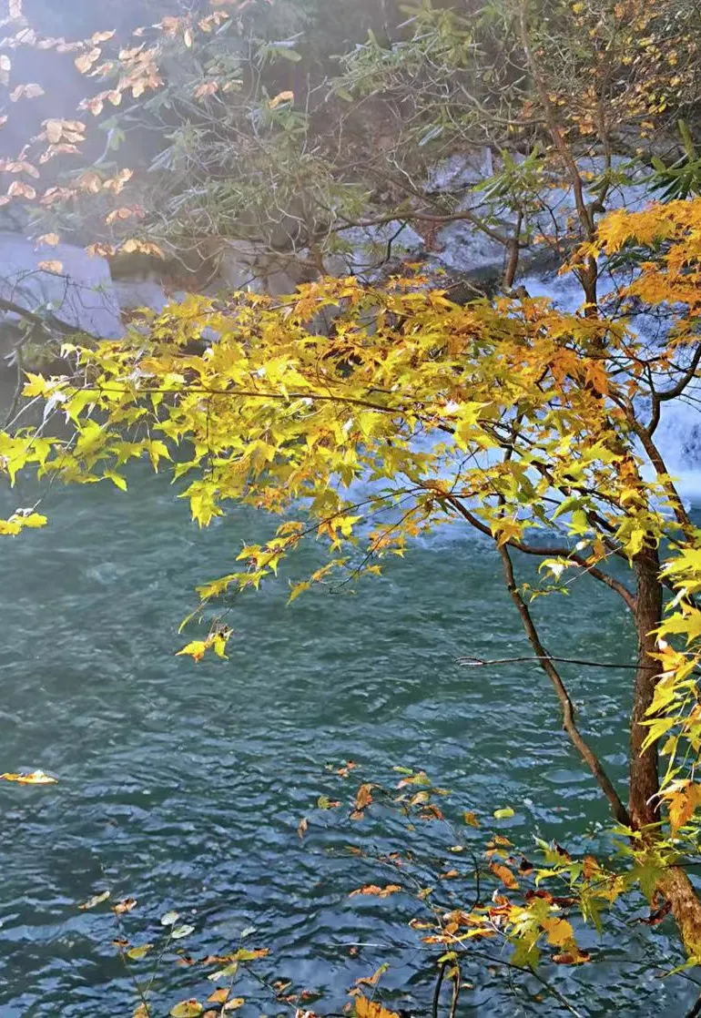 89f6f789335f8b41d87c8af735b20e39-sz_2575097-2