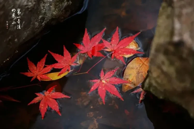 89fc0be61d3e349f27105d08445da23c-sz_72627 89fc0be61d3e349f27105d08445da23c-sz_72627