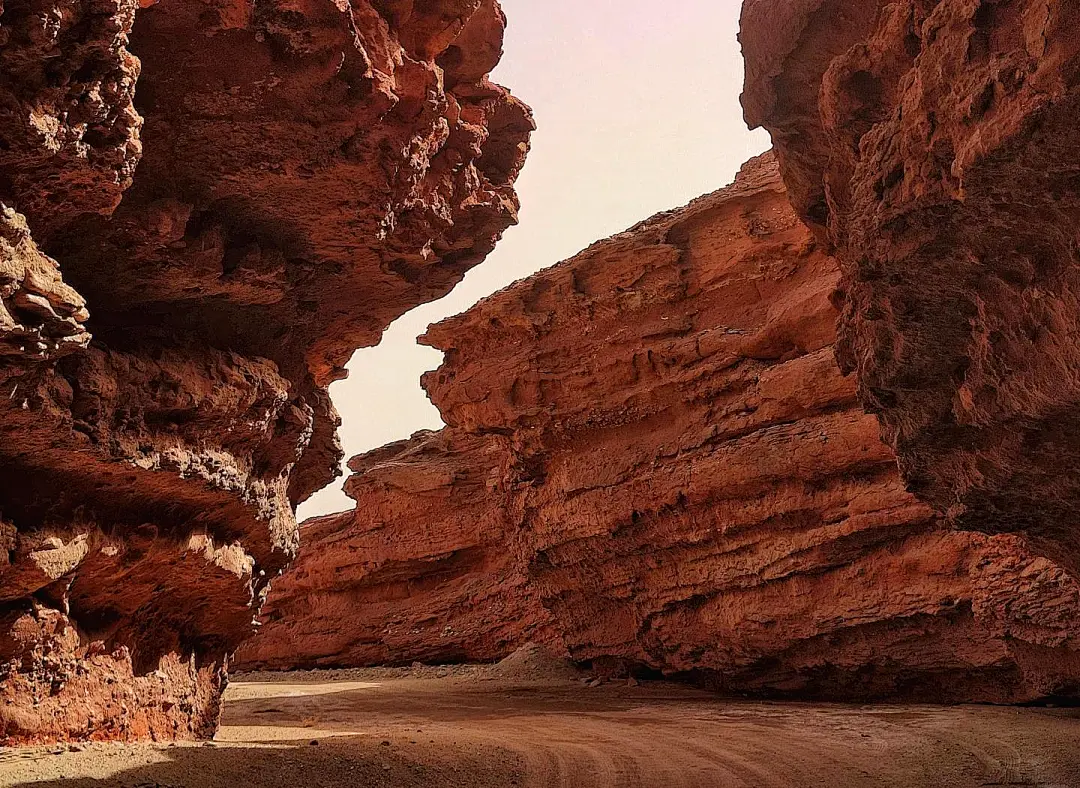 8a2e44ab02d1f02b8f81ef5ddbf8b70e-sz_324741