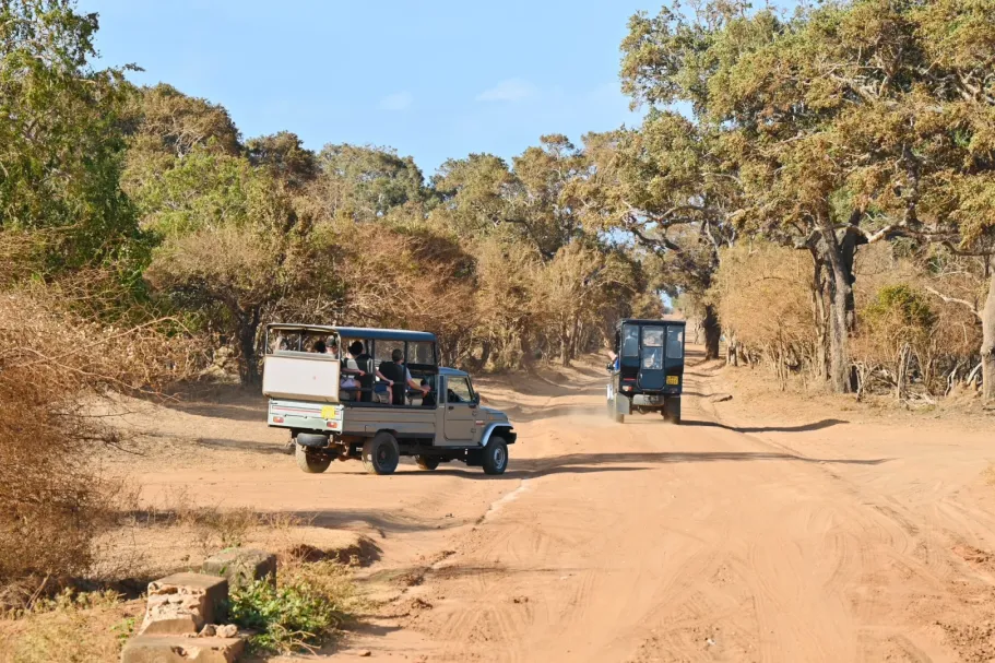 8a486691f406a07acd7508b686163e5c-sz_4914104 8a486691f406a07acd7508b686163e5c-sz_4914104