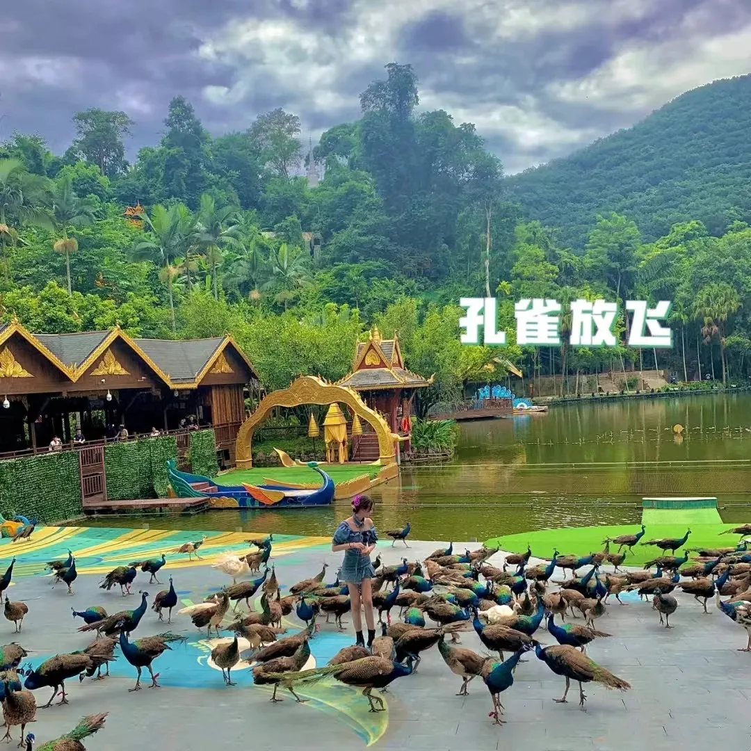 8a8f811b65ddb02812741734db25211f-sz_445327 8a8f811b65ddb02812741734db25211f-sz_445327