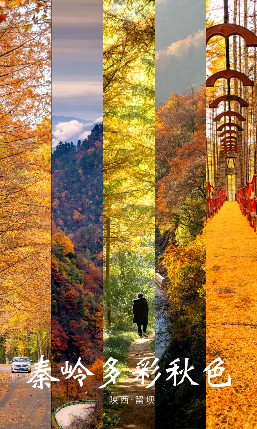 8aa2c5b0ea21cf102661992bbcf27c32-sz_4409388 8aa2c5b0ea21cf102661992bbcf27c32-sz_4409388