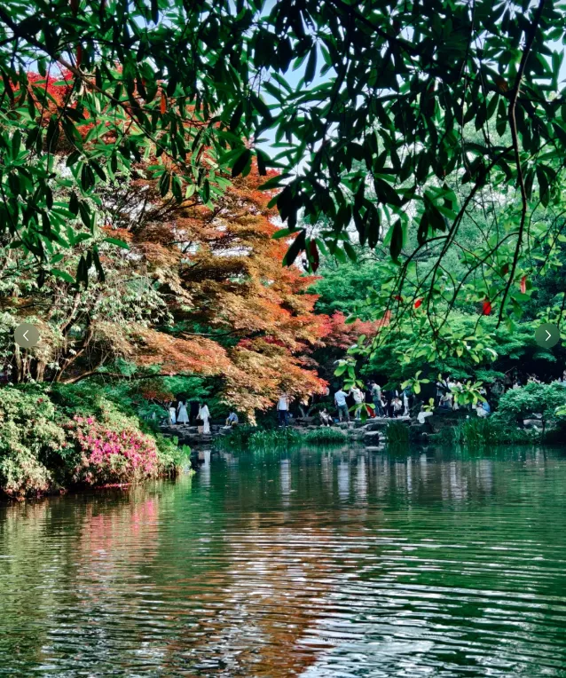 8aaf67f9af0b2de747f60ca4642eaf4b-sz_1242720-1