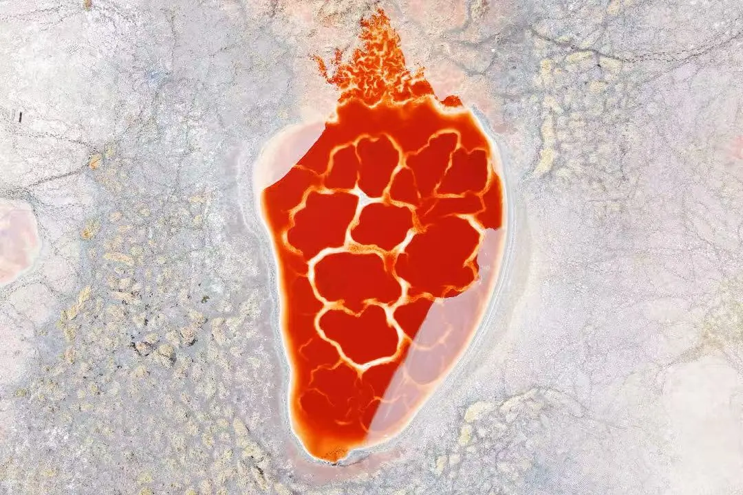 8b1c77a88460a290901af138e34b6ece-sz_166424 8b1c77a88460a290901af138e34b6ece-sz_166424