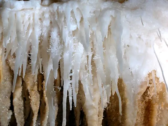 8b225c7b7fd1368478afc738fb347f44-sz_210985 8b225c7b7fd1368478afc738fb347f44-sz_210985