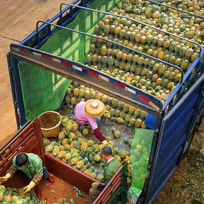 8ba5f0c6d08147fa7228c9cde2bfa05f-sz_302386 8ba5f0c6d08147fa7228c9cde2bfa05f-sz_302386