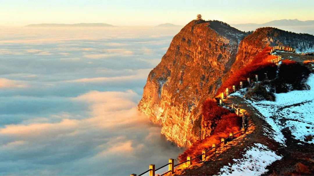 8bbe5aea56f817c23023ac7e7ad7ef71-sz_686591-1