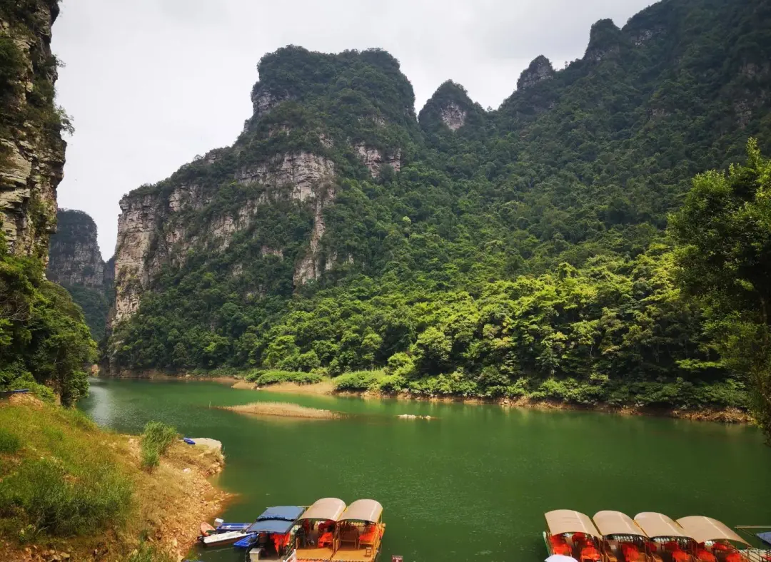 8c2b1d4525fe8bf0de38db826cf0cf69-sz_293857 8c2b1d4525fe8bf0de38db826cf0cf69-sz_293857