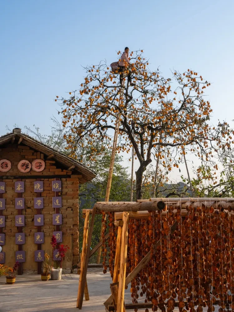 8c2c92c6048cc136636a0d4fd6ed5adc-sz_2827460 8c2c92c6048cc136636a0d4fd6ed5adc-sz_2827460