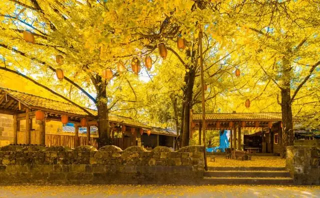 8c6469feae81c7e2c62e90b629d7411f-sz_75465