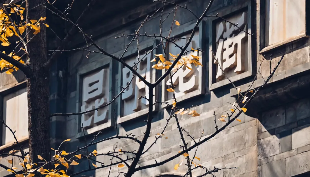 银杏赏秋🍂腾冲泡汤♨️3999元纯玩0自费💯上海精品团【滇西秋色】昆腾瑞芒❤双飞双动6日/双卧双动10日❤全程4钻+洞山温泉❤超值赠送<梦幻腾冲>表演