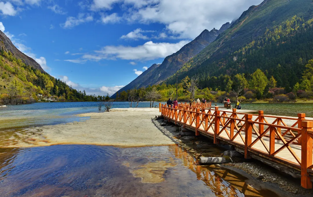 8c784c94b514e985a74110b2497a7eee-sz_1739751