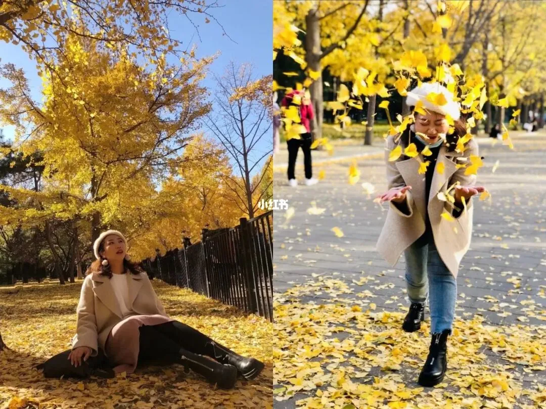 8c7df8a1f464ffc1b9df089ac0ef6360-sz_219161