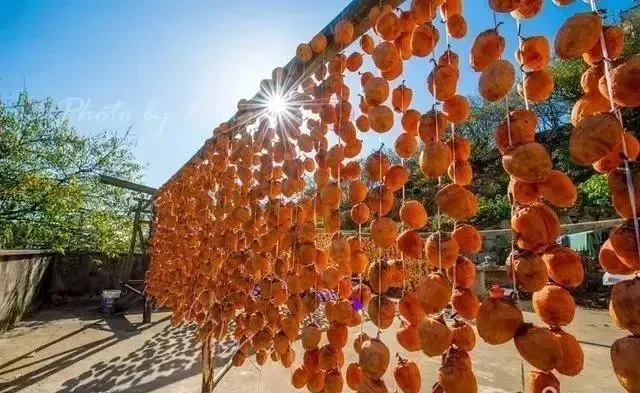 8c9ccd76139f9112b6c72caec1031c89-sz_70198 8c9ccd76139f9112b6c72caec1031c89-sz_70198