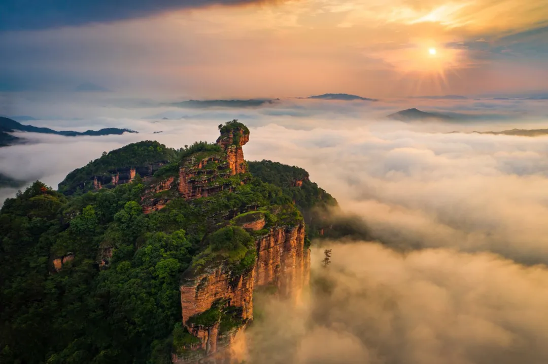 8ca2cc55f21e9c00f291b92171b53264-sz_522151