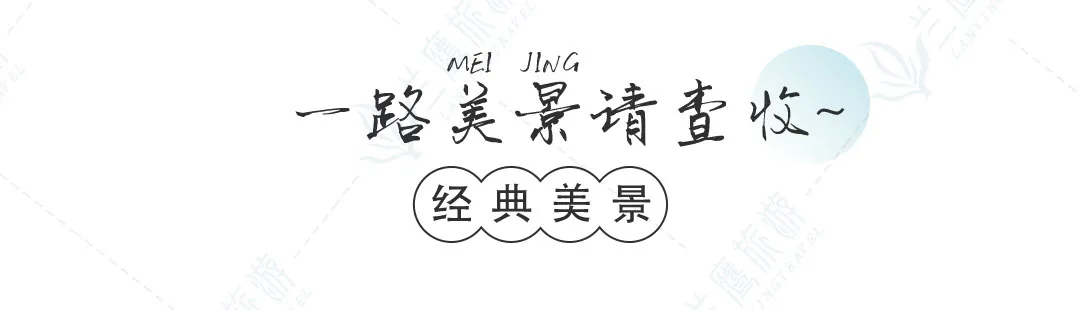 8cb9566c5882cdb8671cbb023d50e770-sz_29199