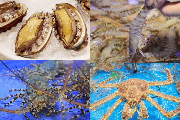 8d123189167af8cecceeeb4899c33a60-sz_2205286 8d123189167af8cecceeeb4899c33a60-sz_2205286