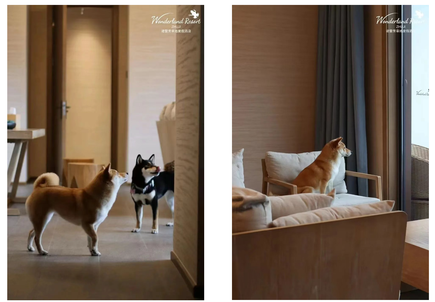 8d659b95ea029fbd3a4c9d3a8f43b605