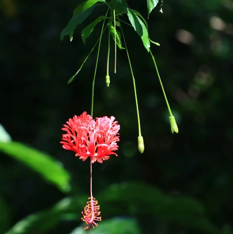 8e5371a7c783f72c96d02d2ba0d00fdf-sz_103979 8e5371a7c783f72c96d02d2ba0d00fdf-sz_103979