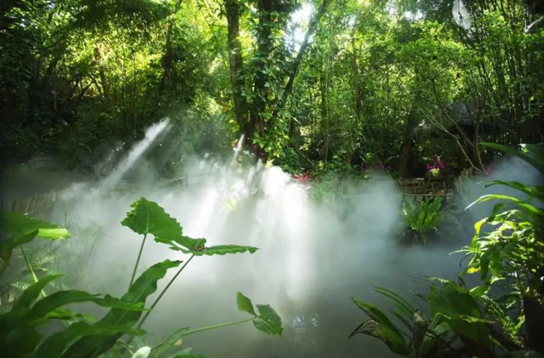 8e648fe710108a70c3f85daebe5dac79-sz_230916 8e648fe710108a70c3f85daebe5dac79-sz_230916