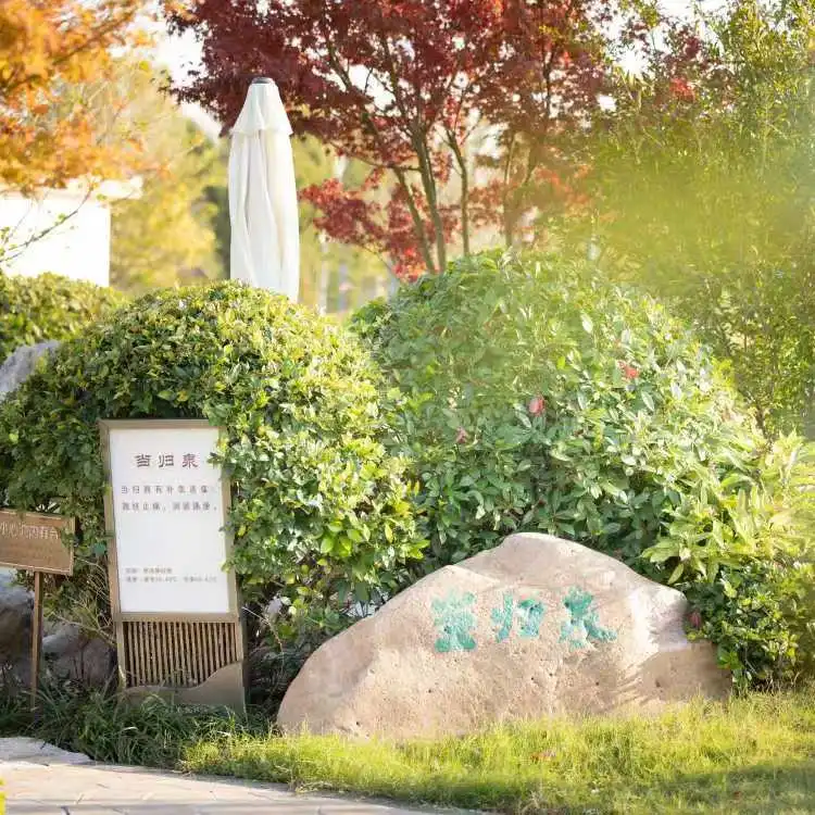 8e99a0bde36213354a53d4c3ed12a858-sz_99672-1 8e99a0bde36213354a53d4c3ed12a858-sz_99672-1