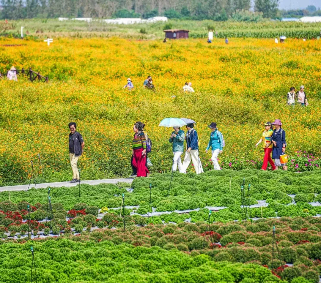 8eb3390be641e645f11955ad656c79f9-sz_2183281