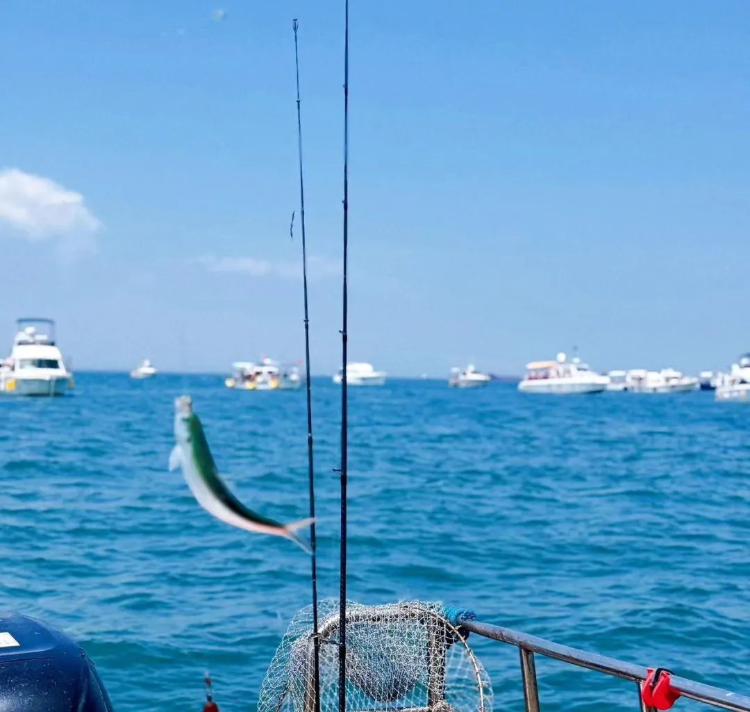 8eb374618c3d76e1b1c94c0de2c827d0-sz_668662 8eb374618c3d76e1b1c94c0de2c827d0-sz_668662