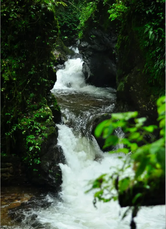 8eb83bca642e9ba15a666af0231b3a5f-sz_1345011