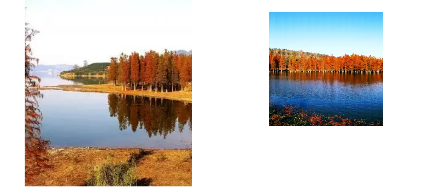 8ebaa1b41ae38e0c9a758eb505756cbf 8ebaa1b41ae38e0c9a758eb505756cbf