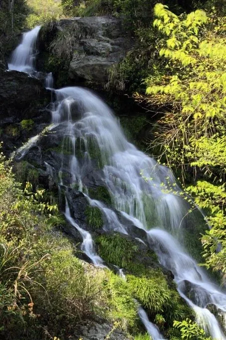 8f131ba018b4d1185958539138665c4e-sz_98345 8f131ba018b4d1185958539138665c4e-sz_98345