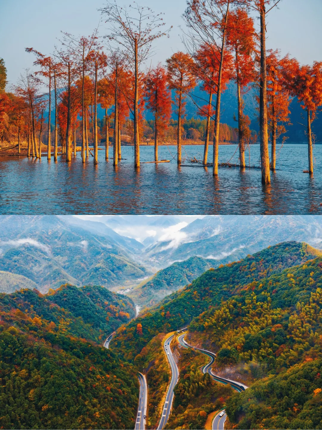 8f1d0d3ecb72ee7707adc1a32630a028-sz_4857974 8f1d0d3ecb72ee7707adc1a32630a028-sz_4857974