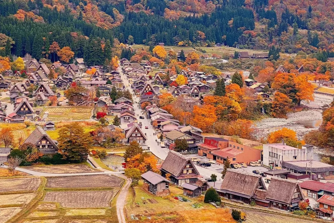 8f3e1f43ce1acaa0c71f66e98ecd7e81-sz_633183 8f3e1f43ce1acaa0c71f66e98ecd7e81-sz_633183