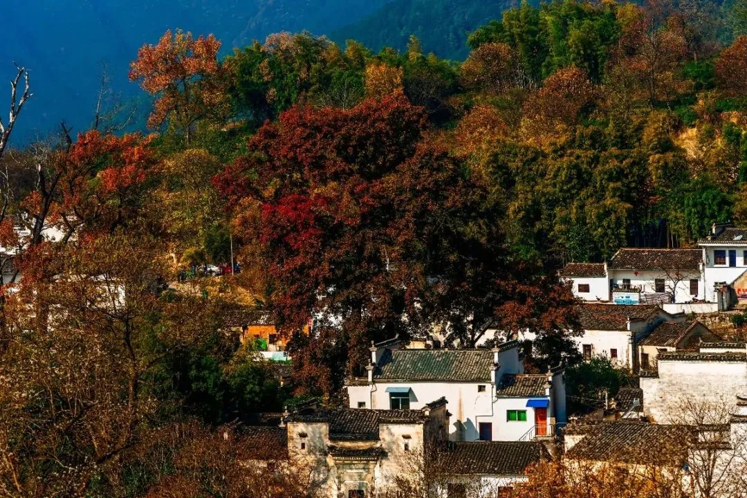 8fab45980f658b81f9414c828ed153a8-sz_253707 8fab45980f658b81f9414c828ed153a8-sz_253707